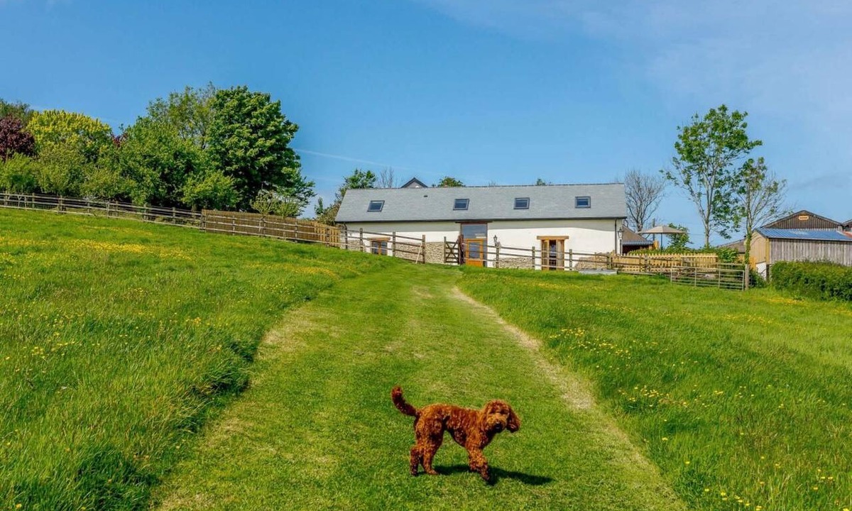 Barnstaple House | 3 Bed in Barnstaple (oc-88074)