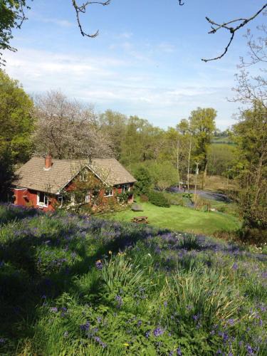 Honiton Bed & Breakfast | B&B Higher Quantock
