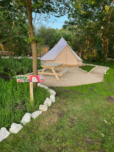 Ventnor Other | Camp Corve