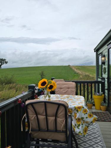 Fence Other | Caravan E6, The Miron