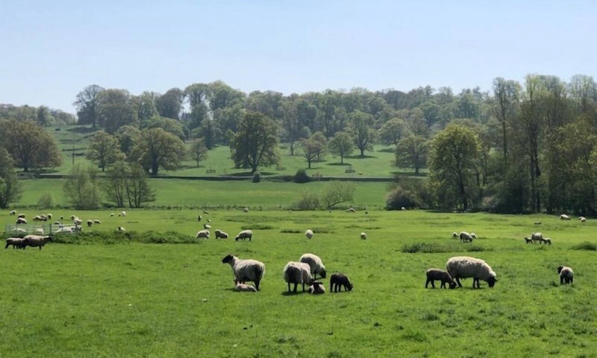 Sherborne Bed & Breakfast | Clare Cottage