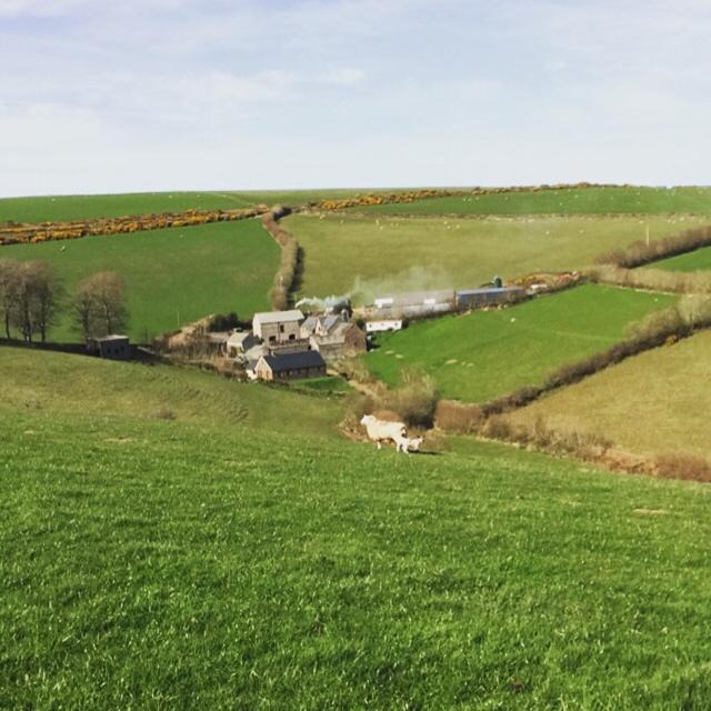Countisbury Bed & Breakfast | Coombe Farm