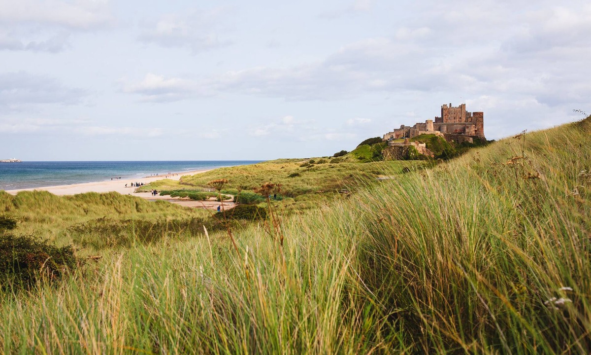 Bamburgh Cottage | Cowslip