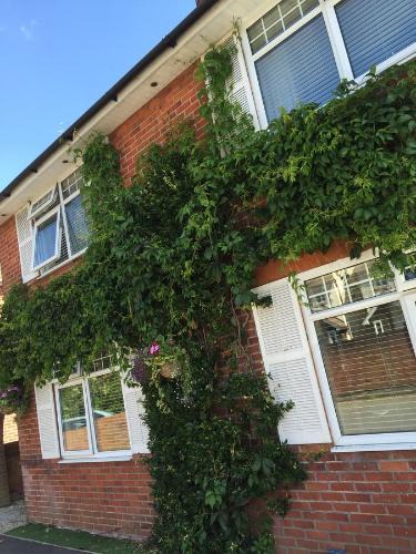 New Forest District Bed & Breakfast | Durlston House