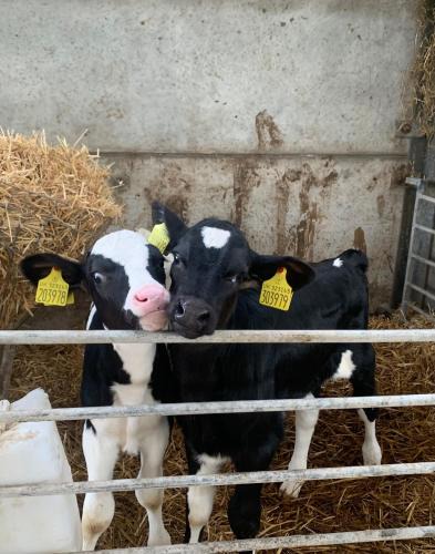 Burton House | Farm stay