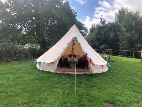 Denstone Other | Glamping with Alpacas! - Alton Towers