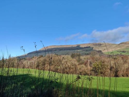Magherafelt House | Half Pint Cottage