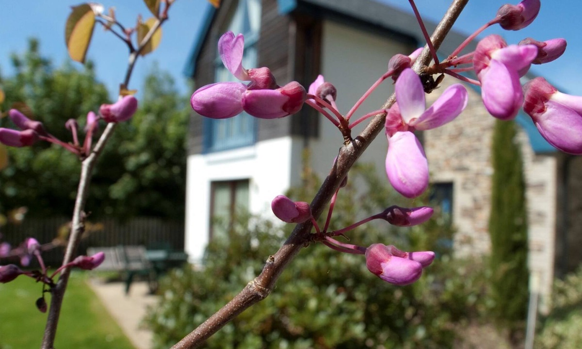Carnon Downs Cottage | Haven - 5 star self catering cottage