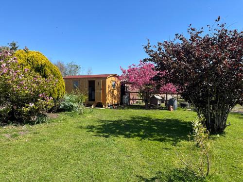 Welney House | Hazel