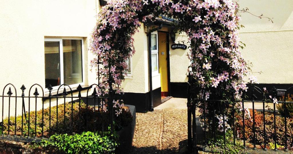 Sandford Bed & Breakfast | Hillside Bed and Breakfast