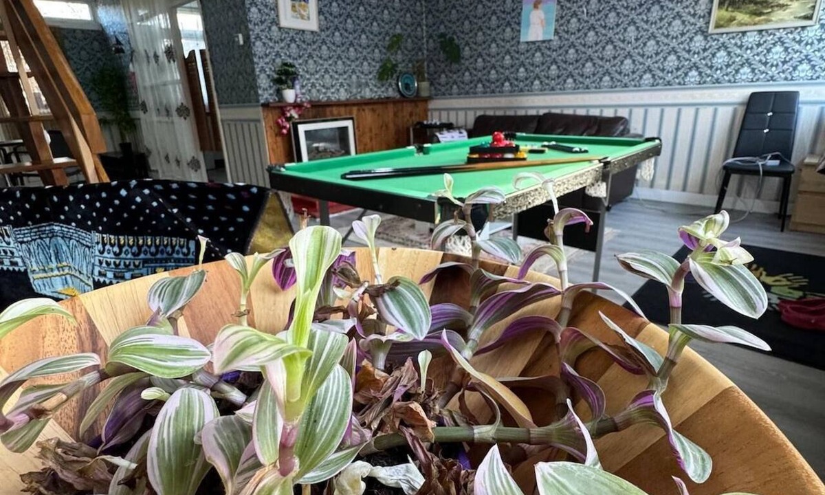 The Lane House | House Of Comfort in London