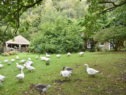 Crowborough House | Keeper's Cottage