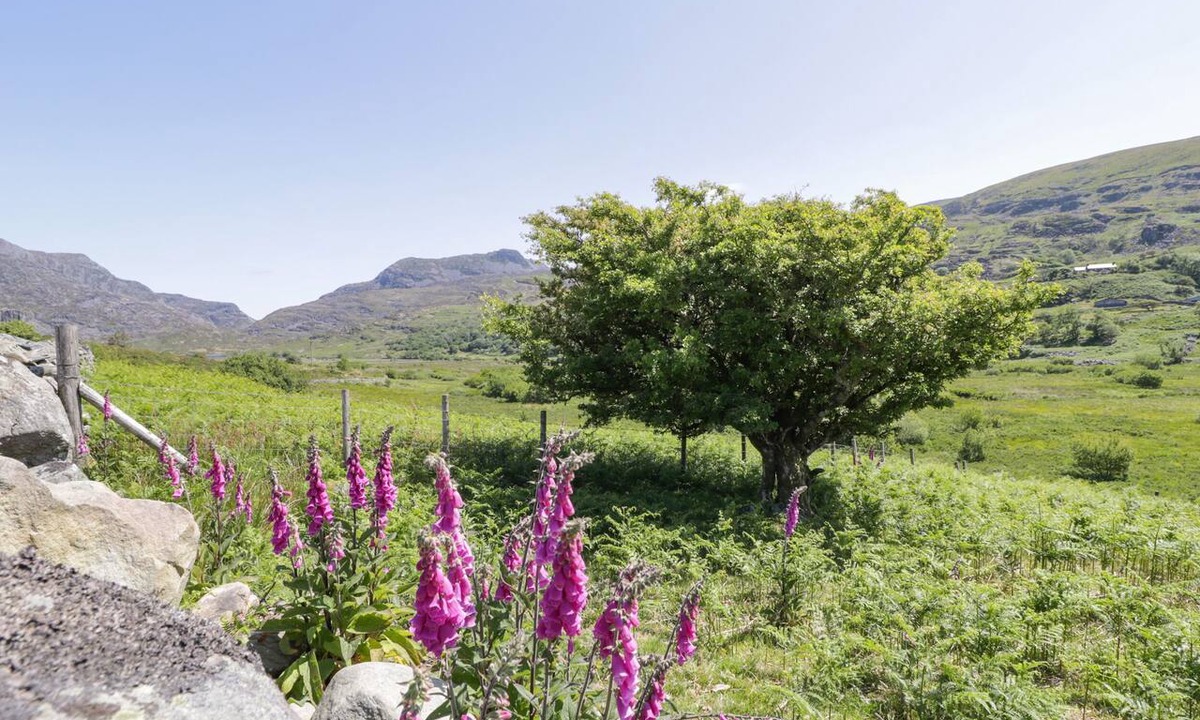 Llanbedr Cottage | Llethr - Shepherds Hut