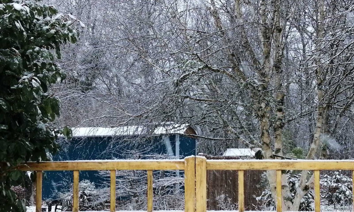 Longdown Cabin | Luxury Shepherds Hut Retreat in Devon near Exeter & Dartmoor. Views into woods.