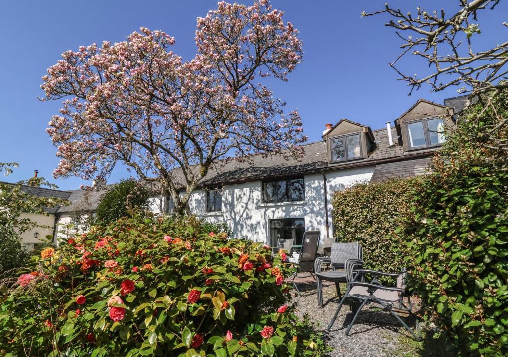 Barnstaple House | Magnolia View