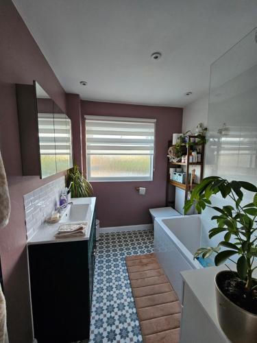 Angmering House | Meadowside