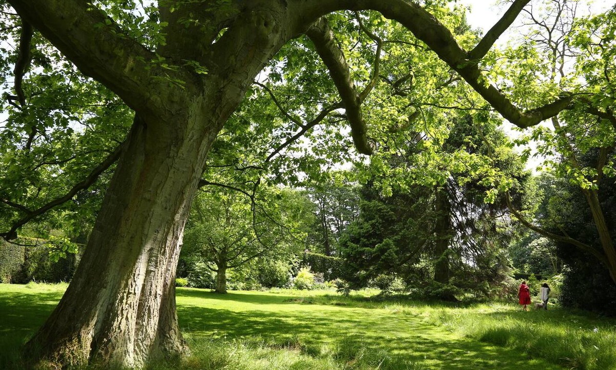 York Hotel | Middlethorpe Hall And Spa