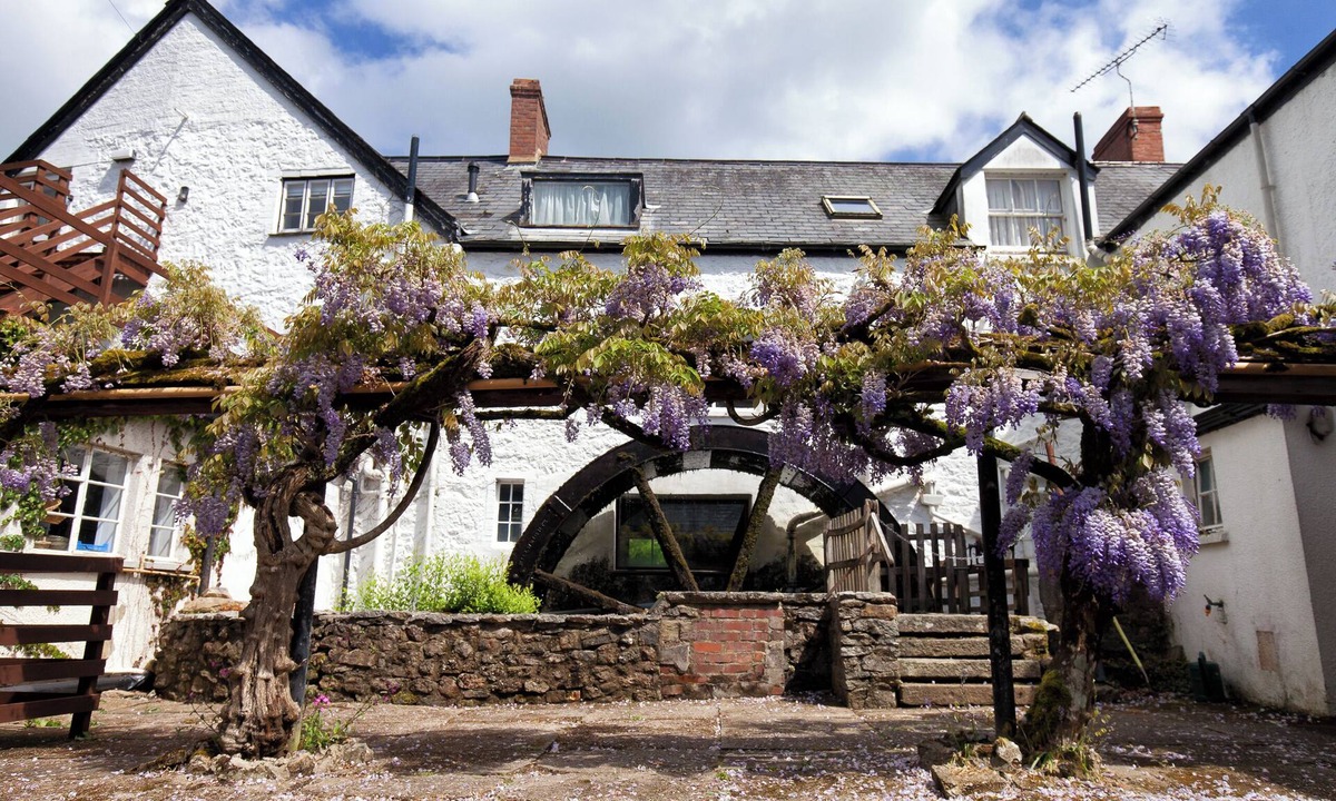 Chagford Hotel | Mill End Hotel