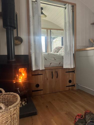 Hackness Ski Chalet | Shepherds hut, Eco, Log burner Hot tub NY moors