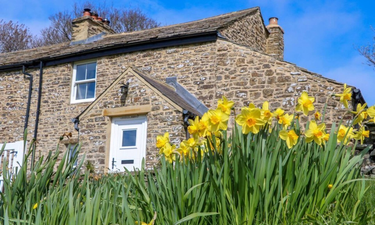 Allendale House | Swinhope View, Hexham