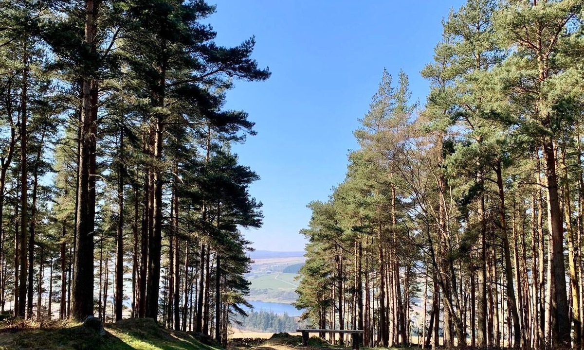 Lofthouse Other | Swinton Bivouac