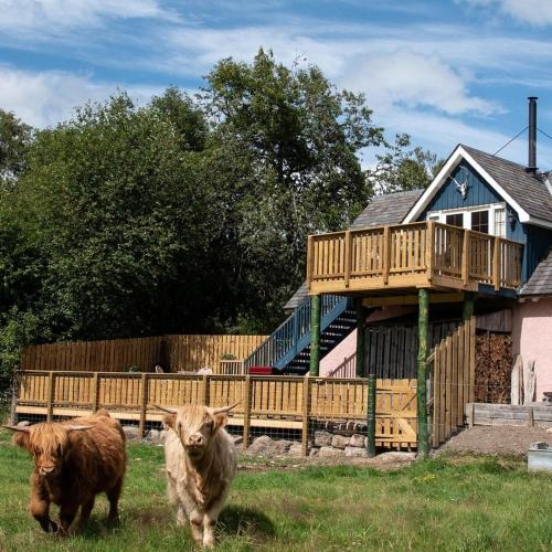 Aboyne House | Tanar View