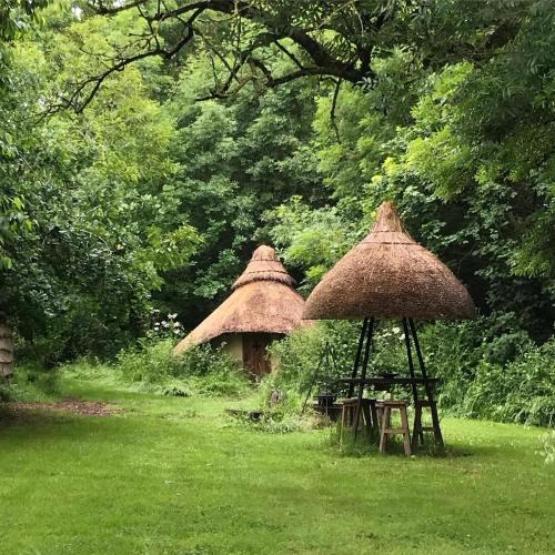 Ash Other | Thatched Roundhouse in Somerset Woodland