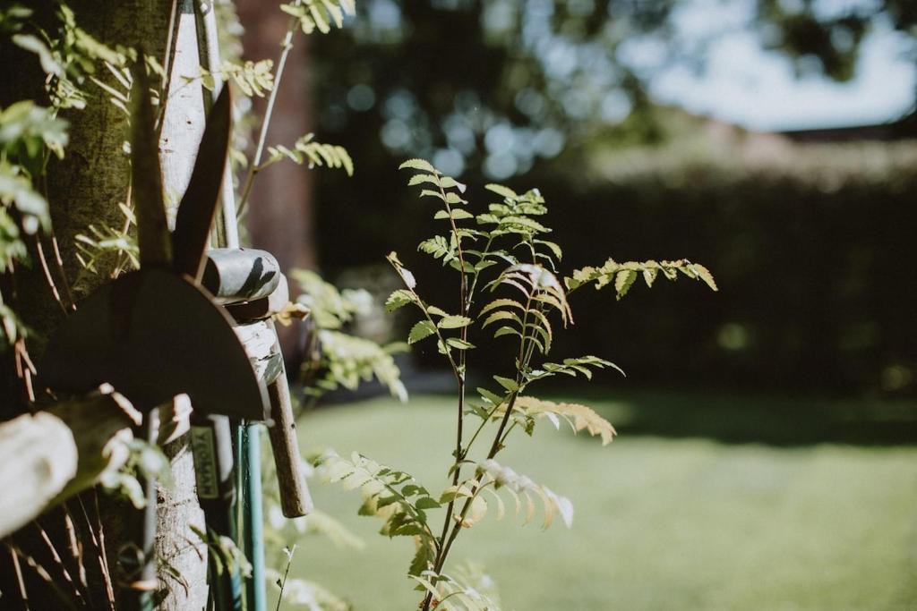 Kinoulton House | The Barn