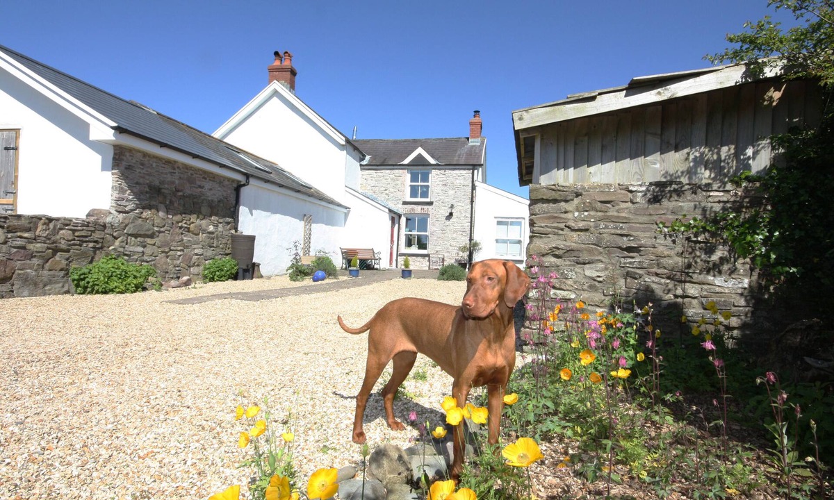 Llanybri Cottage | The Den