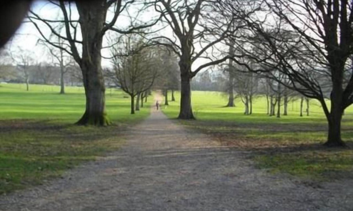 Bath Bed & Breakfast | Weston Lawn