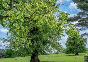 1 bedroom accommodation in Gisburn, Yorkshire Dales
