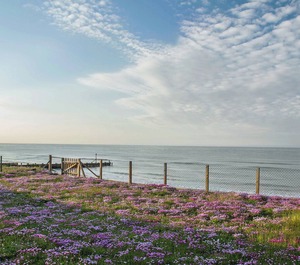 Accommodation Bacton 