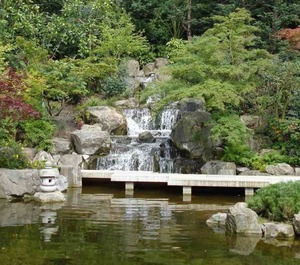 Park 