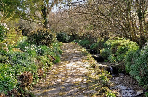 Wheddon Cross Cottage | 1 bedroom accommodation in Wheddon Cross, Exmoor