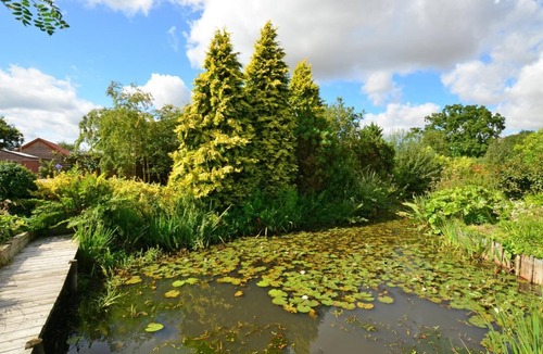 Attleborough House | 2 Bed in Attleborough (oc-1277)