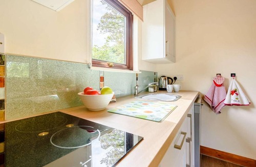 Pencader Ski Chalet | 2 Bed in Pencader (oc-89500)