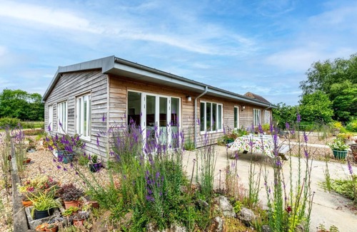 Etchinghill Cottage | 2 Bed in Stelling Minnis (oc-ek715)