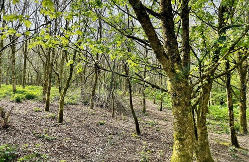 Umberleigh Cottage | 2 bedroom accommodation in Umberleigh