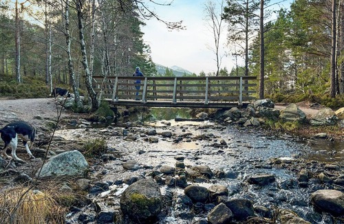 Aviemore Cottage | 2 bedroom accommodation in Aviemore