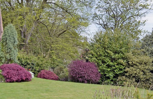 Boscundle Cottage | 2 bedroom accommodation in Prideaux, St Blazey