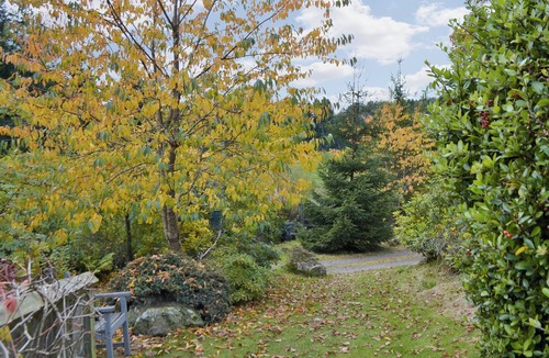 Murthly Cottage | 2 bedroom accommodation in Dunkeld, near Pitlochry