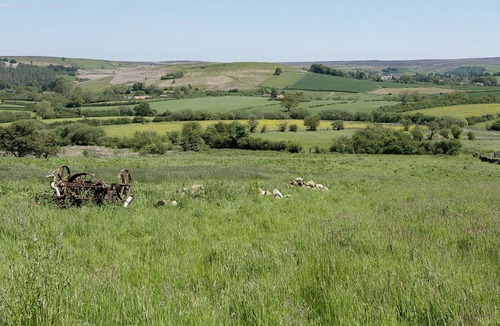 Great Fryup Dale Cottage | 3 bedroom accommodation in Castleton
