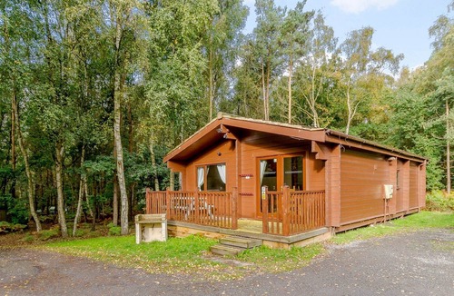 Edwinstowe Cabin | 3 bedroom accommodation in Sherwood Forest, Rufford