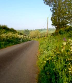Holsworthy Bed & Breakfast | Appleton House