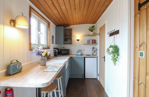 Cambridge Cottage | Barn Owl