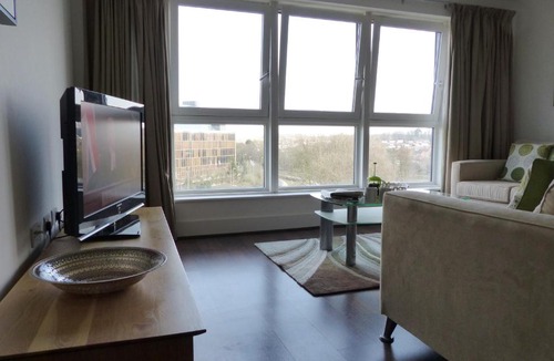 Basingstoke Apartment | Basingstoke Apartments - Alencon Plaza, Luxury Downtown Apartments