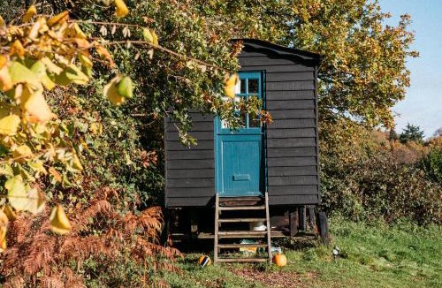 Liss Other | Beautiful, Secluded Shepherd's Hut in the National Park
