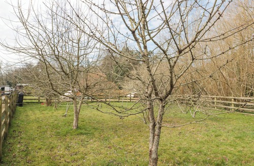 Camerton Cottage | Bell Tent 3