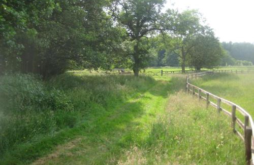 Kirkby Malzeard House | Blackberry Lodge