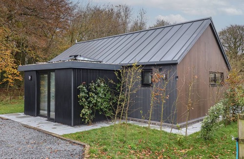 Low Catton Cottage | Blackcap